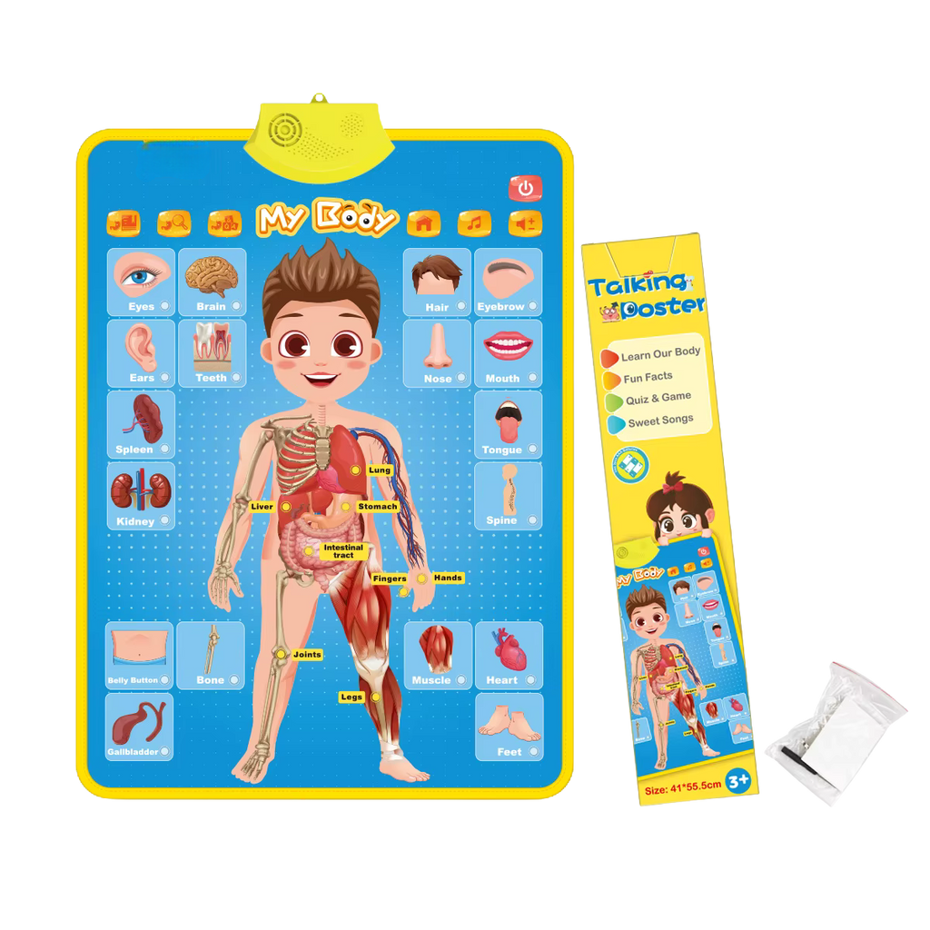 Interactive ABC Wall Chart