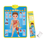 Interactive ABC Wall Chart