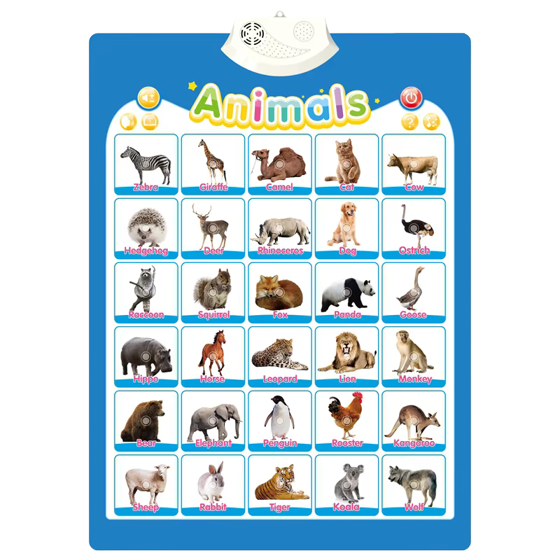 Interactive ABC Wall Chart
