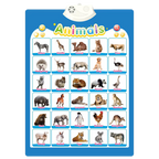 Interactive ABC Wall Chart
