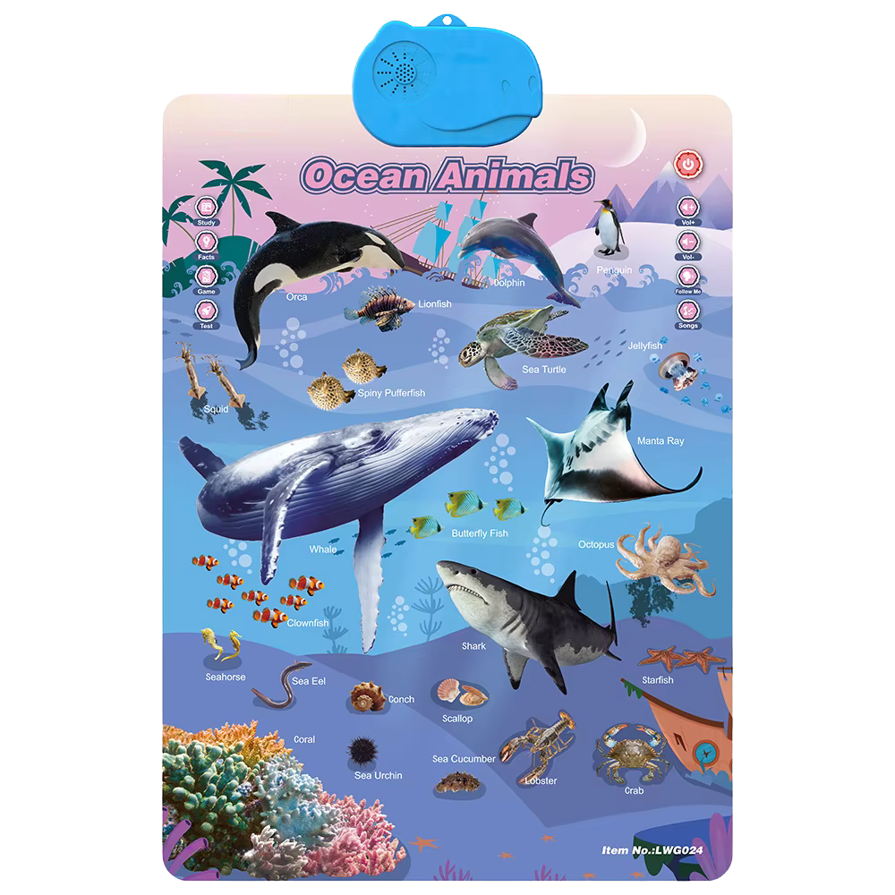 Interactive ABC Wall Chart