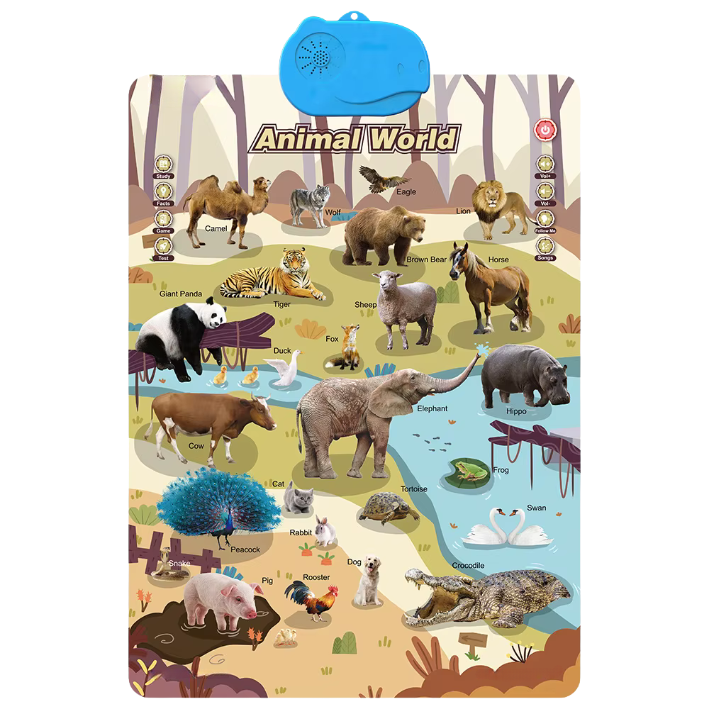 Interactive ABC Wall Chart